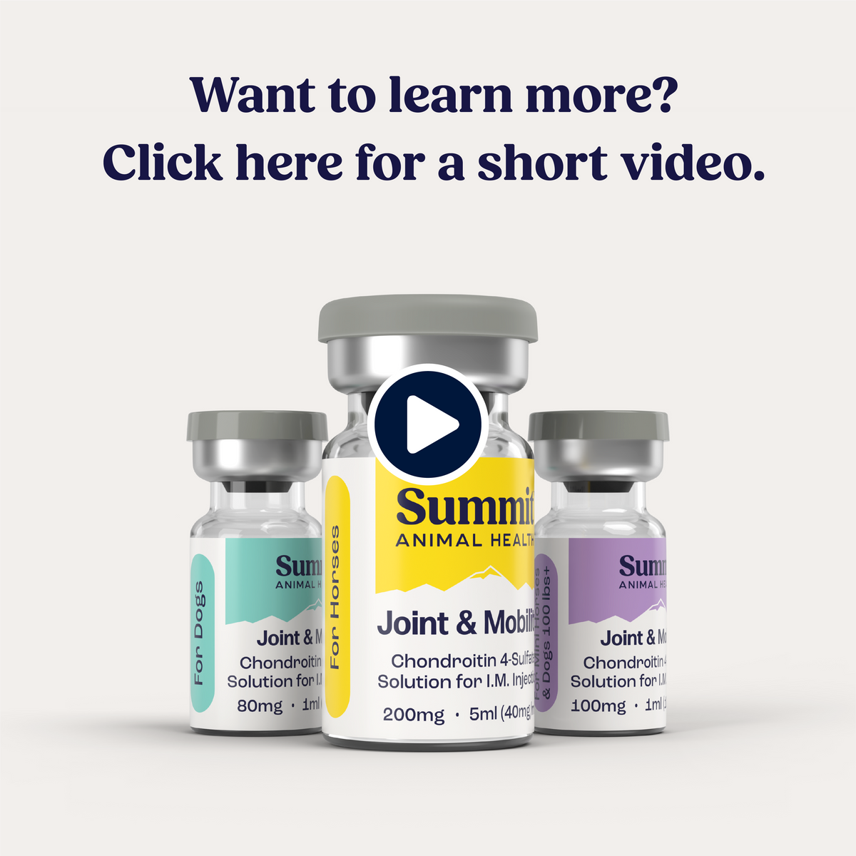 Summit Joint Mobility IM for Horses - Summit Injections for Horses | Formerly SummitMax Equine Summit Animal Health Summit Joint Mobility IM for Horses - Summit Injections for Horses | Formerly SummitMax Equine Summit Animal Health