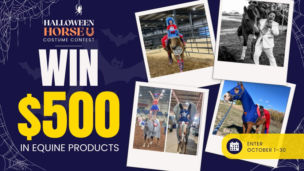 $500 in equine products