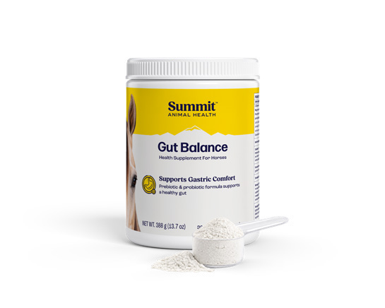 Gut Balance 30-day tub and scoop