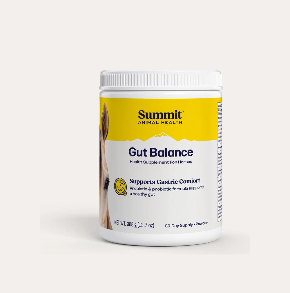 Gut Balance, 30-Day Supply
