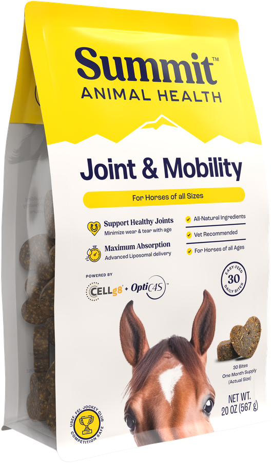 Joint & Mobility Bites for Horses