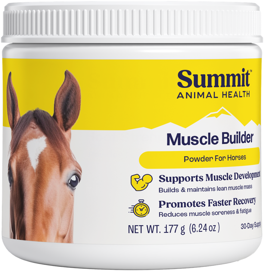 Muscle Builder