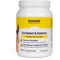 Gut Relief & Balance