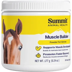 Muscle Builder