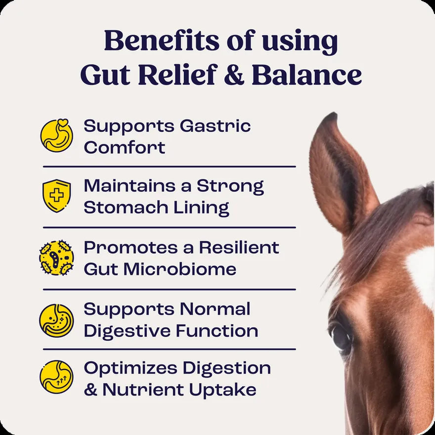 Gut Relief & Balance benefits