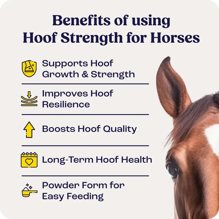 Hoof Strength benefits